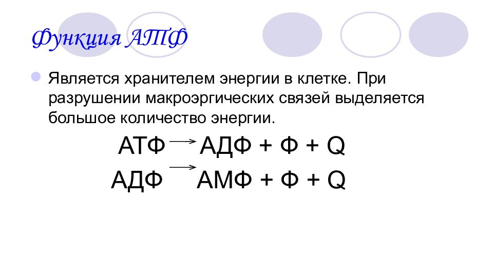 Роль атф в обмене энергии. Функции молекулы АТФ. Роль АТФ.