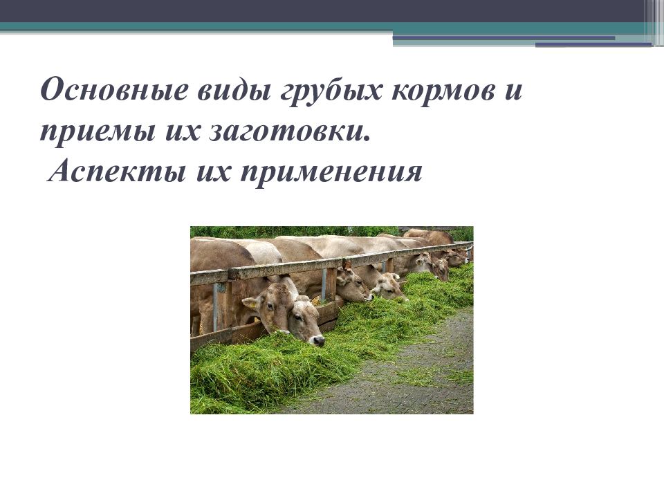 Основные виды грубых кормов и приемы их заготовки. Аспекты их применения