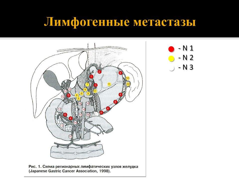 Регионарные лимфатические узлы схема