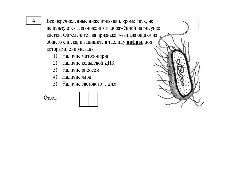 Все приведенные ниже признаки кроме двух можно. Все перечисленные ниже признаки кроме двух используются для описания. Используются для описания изображенной на рисунке клетки. Все перечисленные ниже признаки. Все перечисленные ниже признаки кроме двух трех.