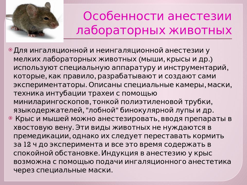 Поведенческие тесты лабораторные животные. Достоинства и недостатки применения лабораторных животных. Описание животного лабораторная работа. Лабораторная работа морфологический критерий вида 9. Критерии вида таблица.