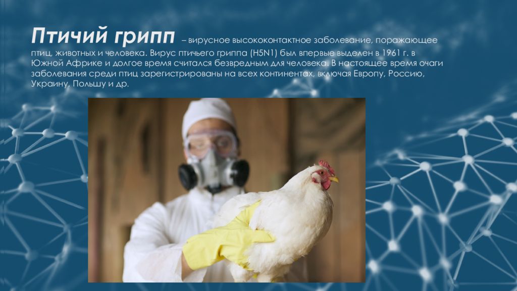 Был ли птичий грипп. Птичий грипп презентация. Птичий грипп буклет. Вирус птичьего гриппа. Птичий грипп этиология.