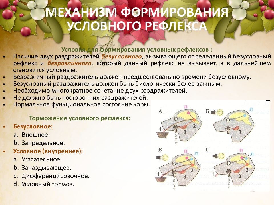 Механизм формирования условных