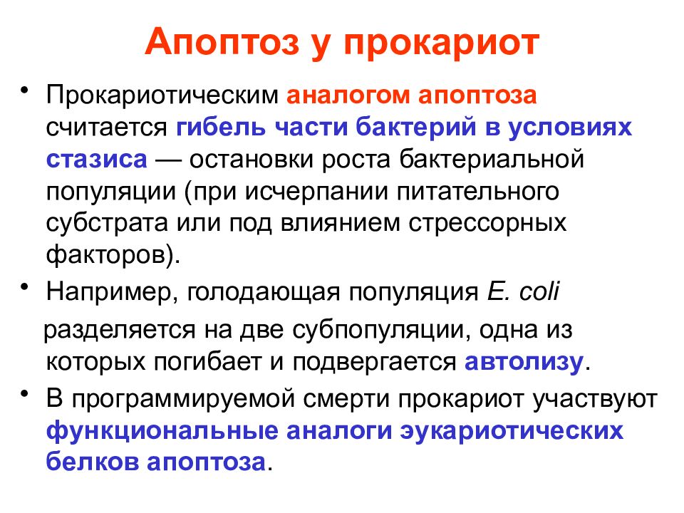 Апоптоз это. Апоптоз. Апоптоз это в биологии. Апоптоз это кратко. Апоптоз определение.