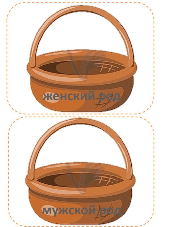 ж енский род мужской род