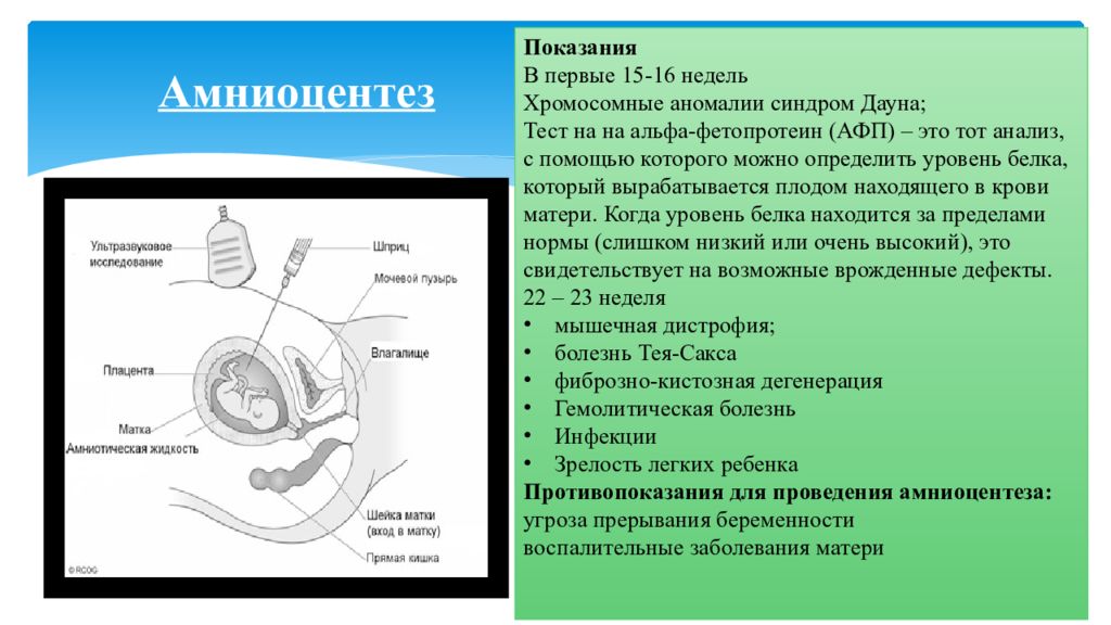 Плод тест 1