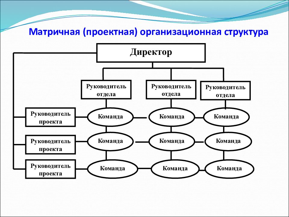 Проектная организационная структура. Сильная матричная организационная структура. Матричная и проектная организационная структура. Проектно-матричная структура. Матричная структура команды проекта.