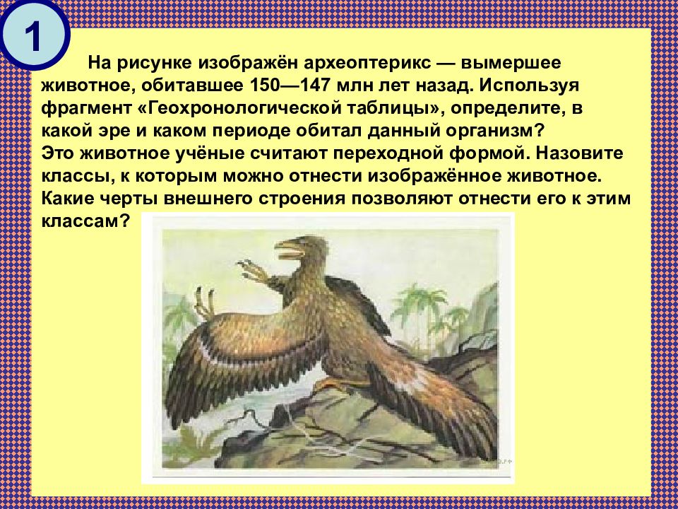 На рисунках изображены скелет с отпечатком перьев и реконструкция археоптерикса обитавшего 150 147