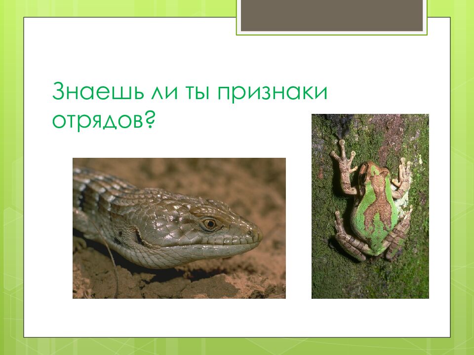 Знаешь ли ты?