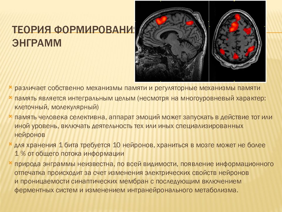 Презентация по теме память и обучение 8 класс