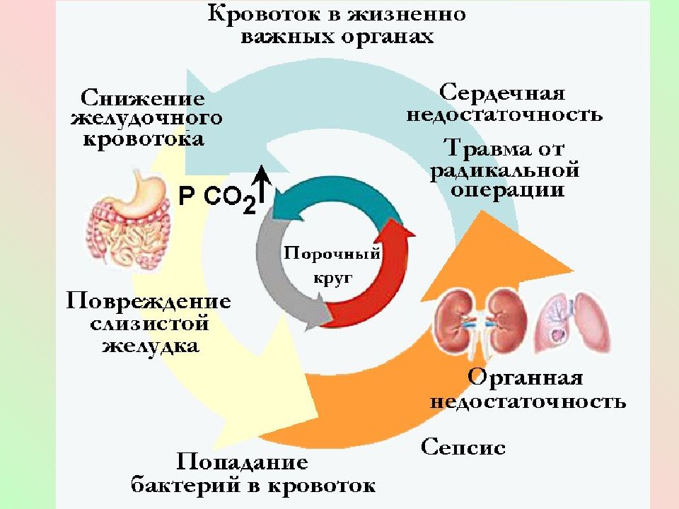 Круг процессов. Этапы и механизмы инфекционного процесса. Структура инфекционного процесса. Последовательность стадии инфекционного процесса. Начальные, пусковые механизмы развития инфекционного процесса:.