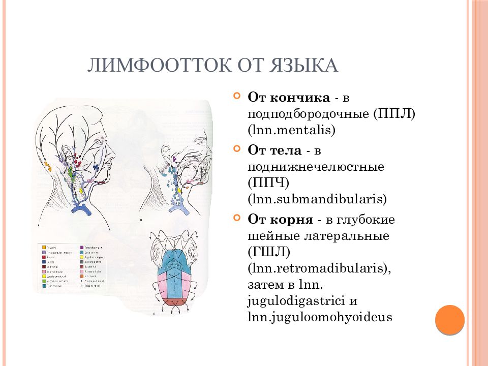 План практических занятий пропедевтика игма