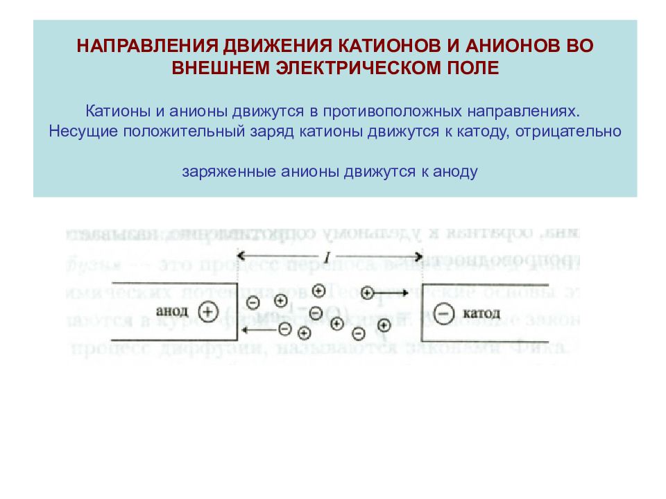 В каком направлении двигалась