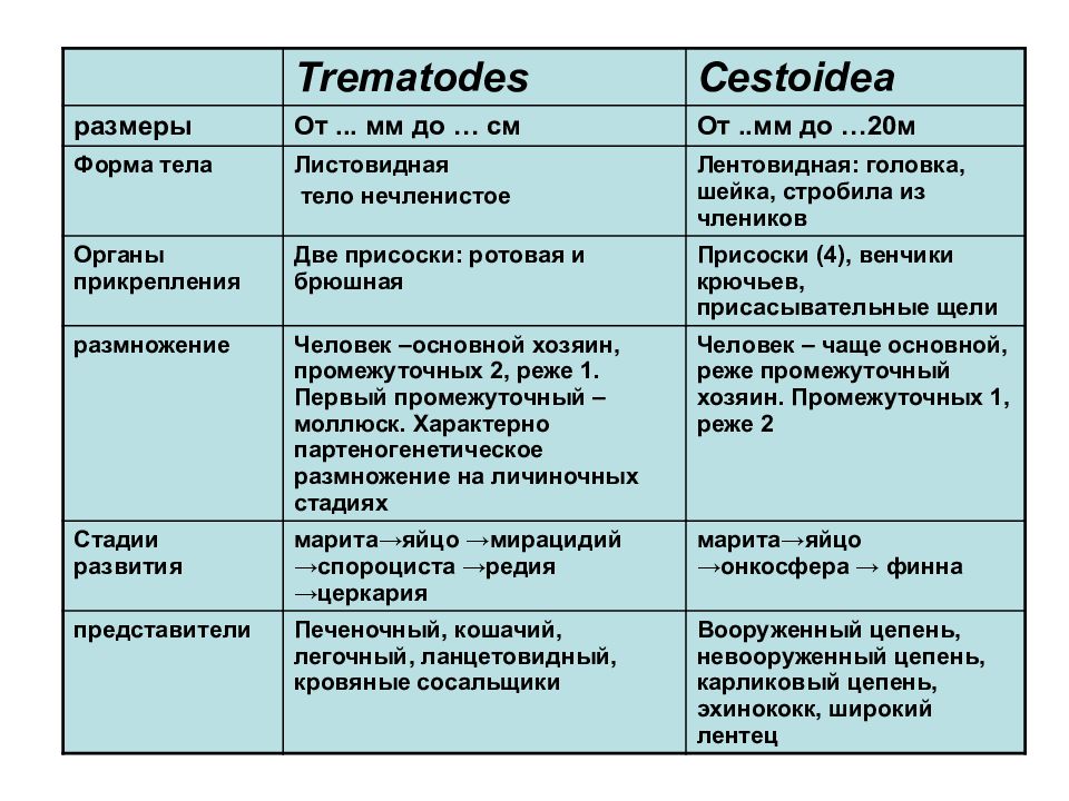 Медицинская арахноэнтомология презентация