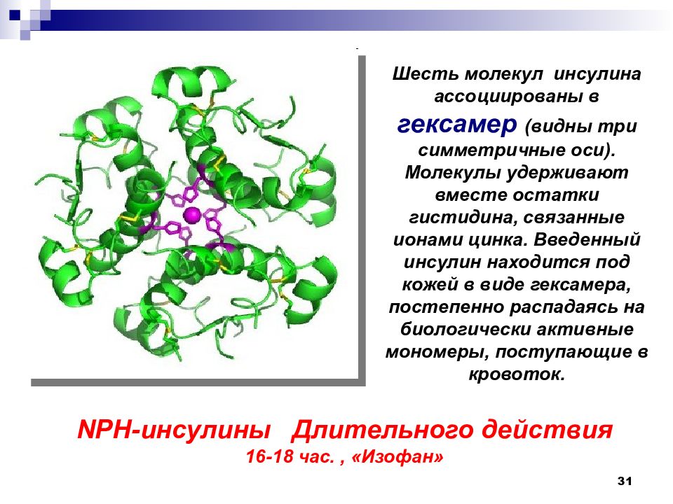 6 белков. Гексамер инсулина с цинком. Ассоциированные молекулы. Молекула инсулина. Признаки молекулы инсулина.