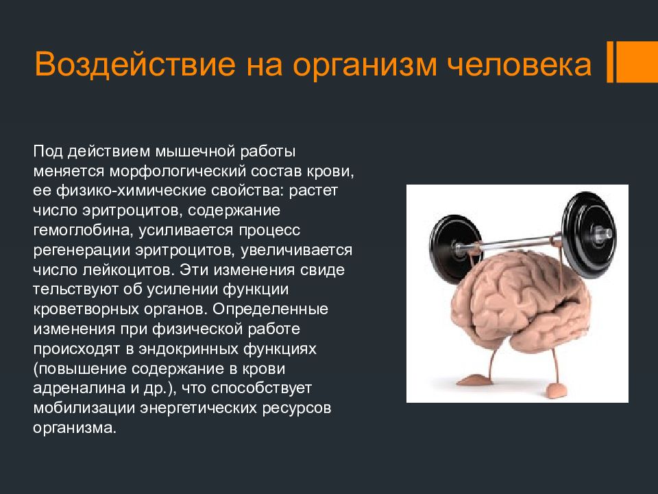 Организм человека. Работа в организме человека. Системы органов организма человека. Работа в организме человека. Строение тела человека.