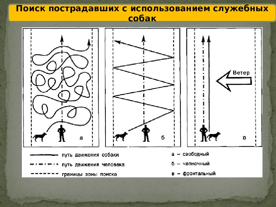 Как найти потерпевших. Способы поиска пострадавших. Зондирование способ поиска пострадавших. Перечислите способы розыска пострадавших. Приборы поиска пострадавших в ЧС.