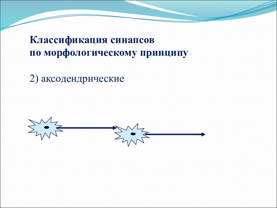 Презентация на тему физиология возбудимых тканей