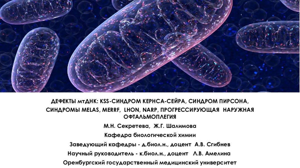 Синдром пирсона презентация