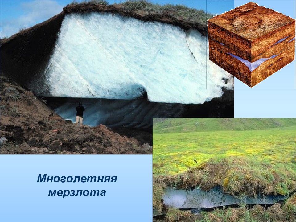 Назовите современный способ сохранения мерзлоты. Вечная мерзлота в Сибири. Многолетняя мерзлота Северо Восточной Сибири. Восточная Сибирь Вечная мерзлота. Вечная мерзлота грунт.