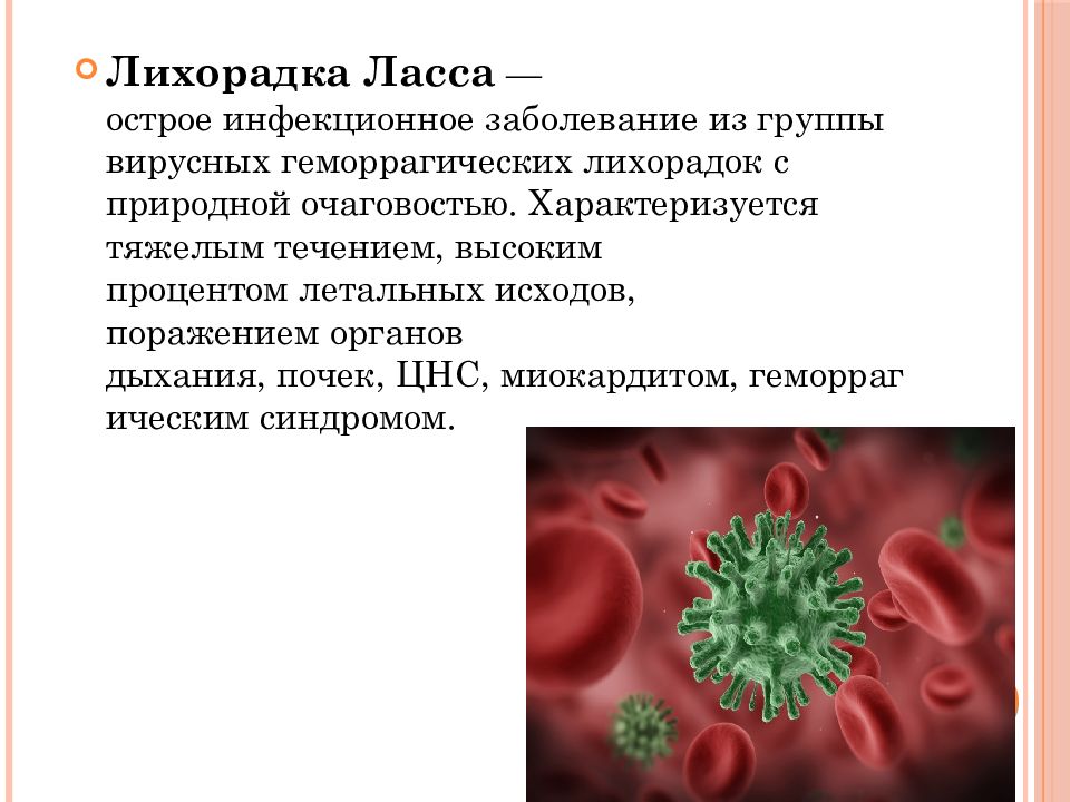 Желтая лихорадка презентация эпидемиология