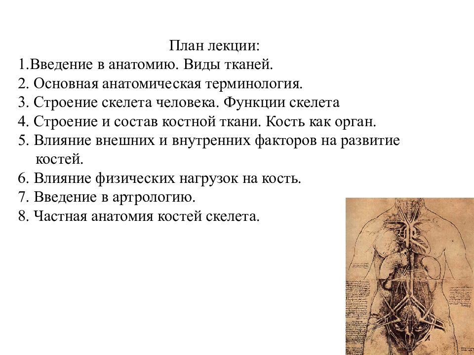 Виды анатомии. Введение в анатомию. Введение по анатомии. Анатомия Введение лекция. Анатомическая терминология задания.