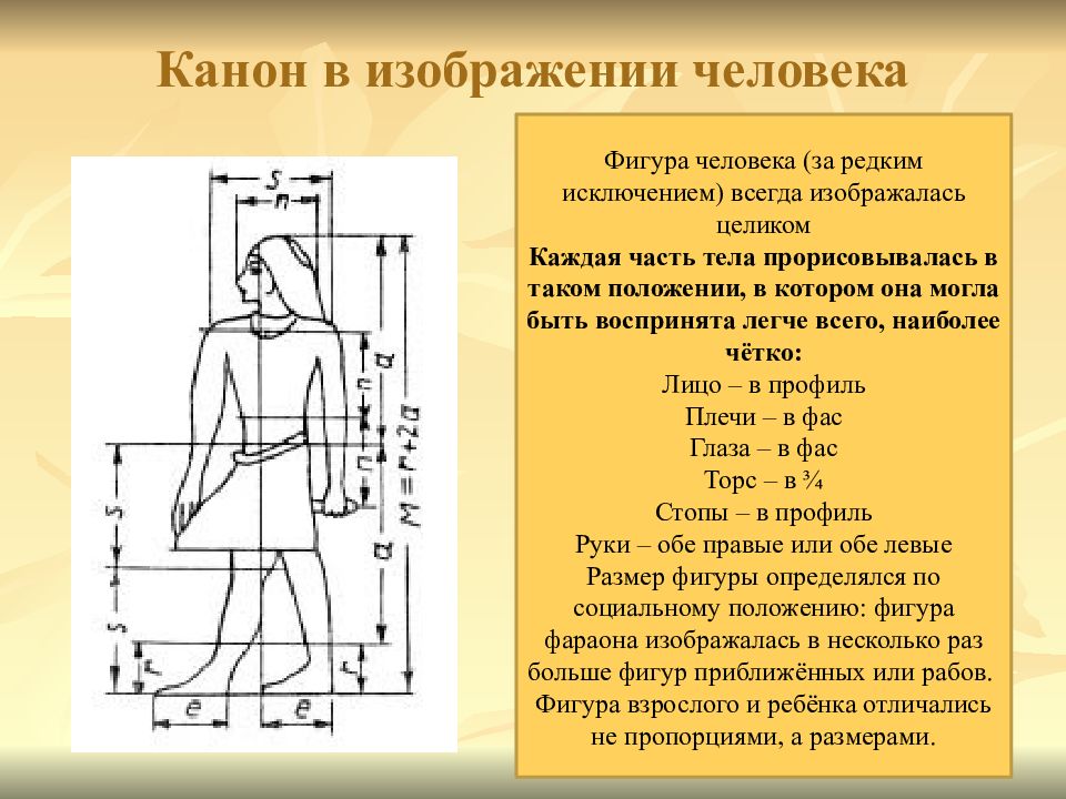 Система пропорций человеческой фигуры которая делила изображения на части это ответ тест