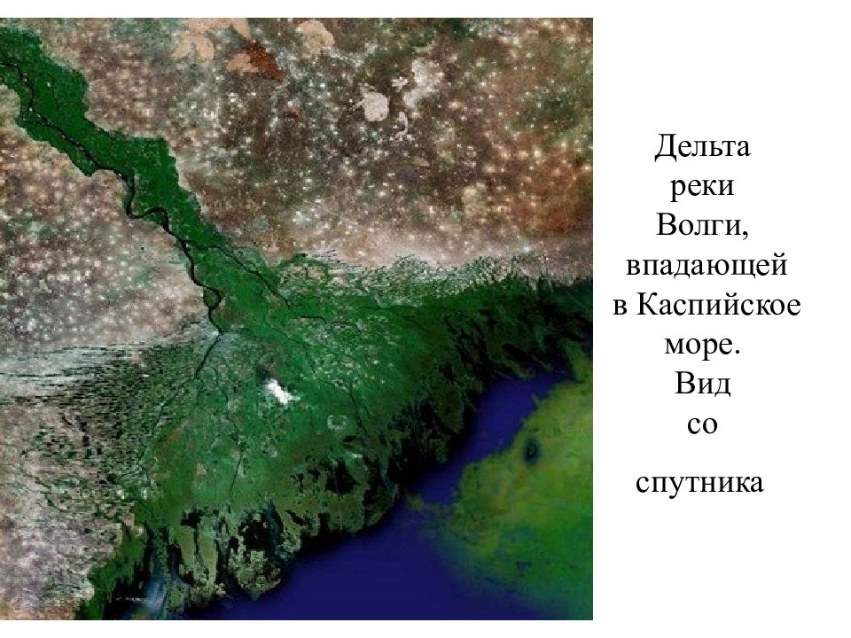 Дельта волги карта