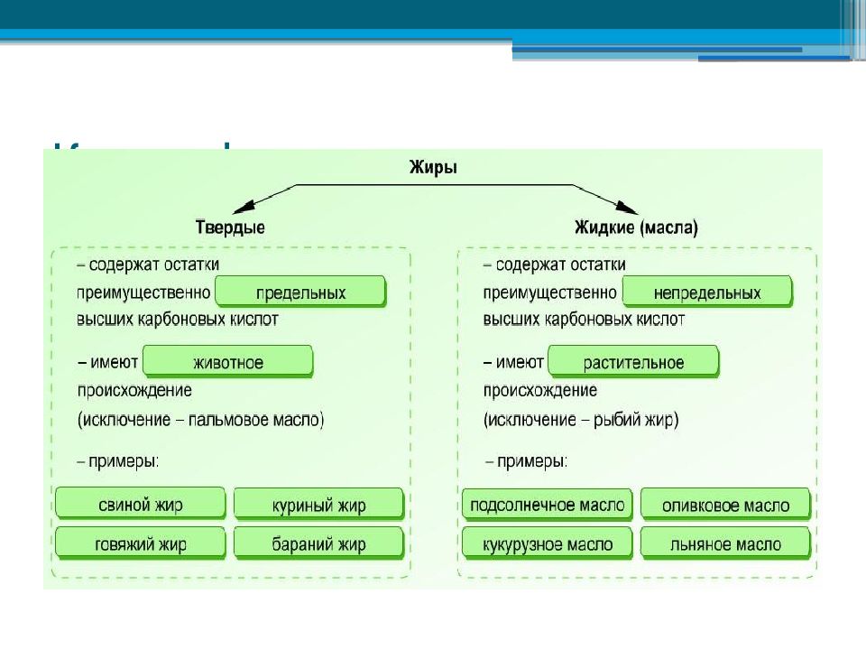 Презентация твердые жиры
