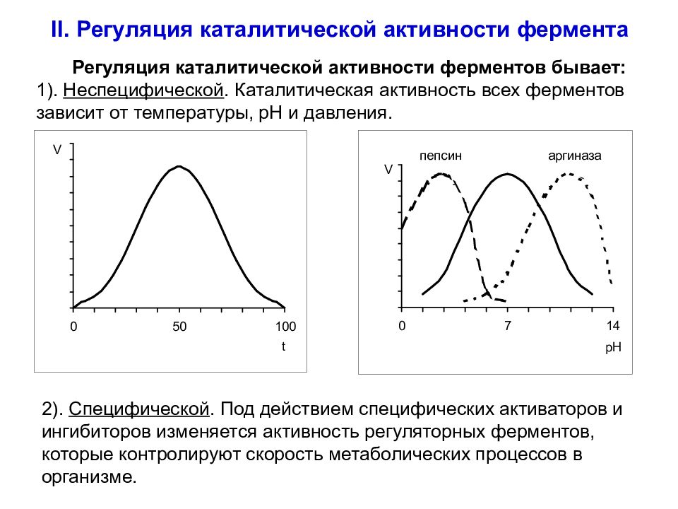 Регуляция активности ферментов презентация