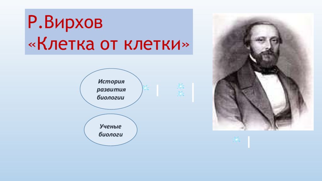 История биологии ученые. Вирхов клетка от клетки. Триада Вирхова. Вирхов каждая клетка из клетки. Лепрозные клетки Вирхова.