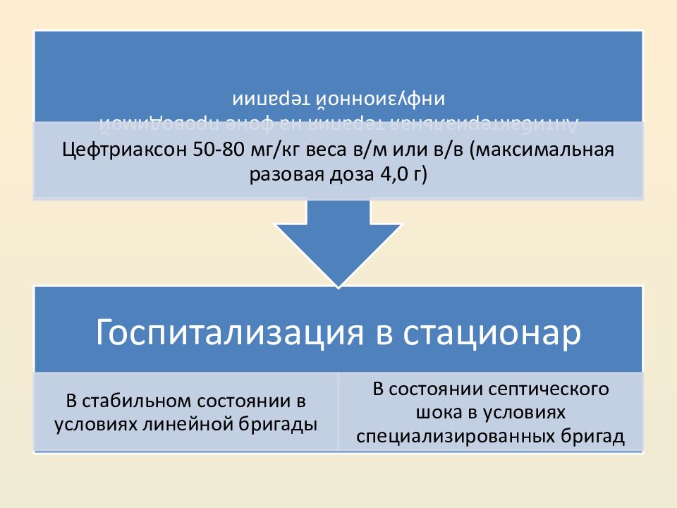 Социальная педиатрия презентация