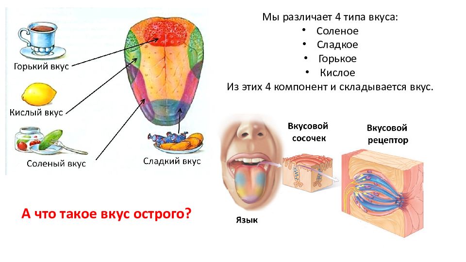 Язык солей