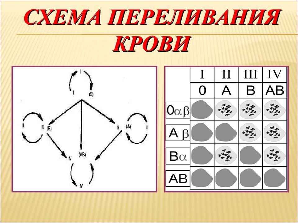 Схема совместимости группы крови