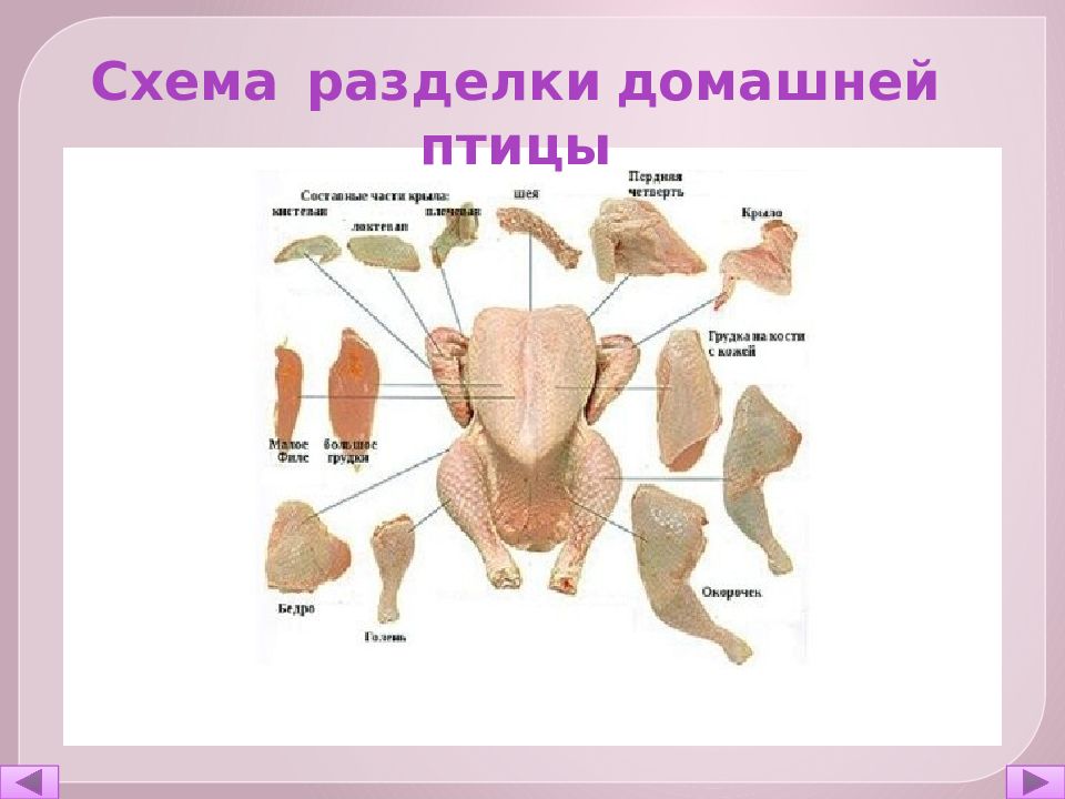 Части курицы название схема