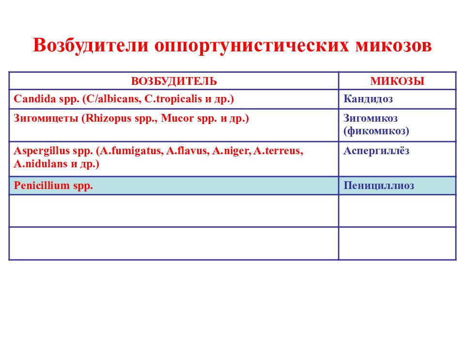 Возбудители оппортунистических микозов. Грибы возбудители оппортунистической инфекции. оппортунистические микозы микробиология. возбудители оппортунистических микозов таксономия.