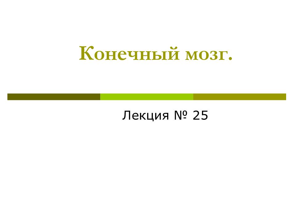 Конечный мозг.
