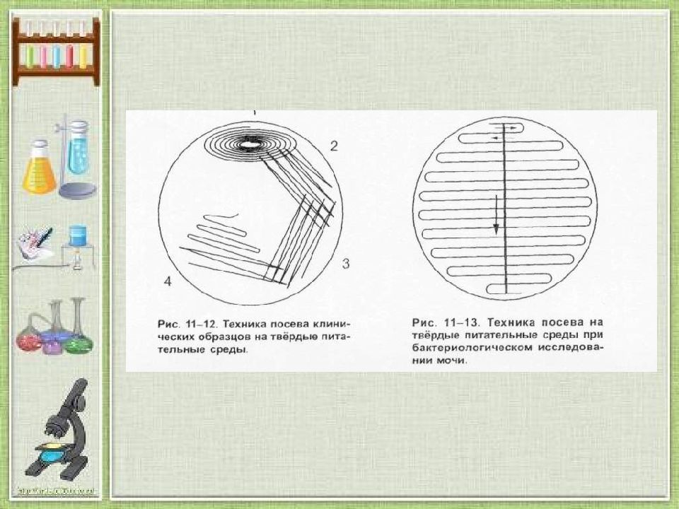 Посев условный. Техника посева в микробиологии. Посев газоном микробиология техника. Микробиология все виды посевов. Основной инструмент для посева микробов.