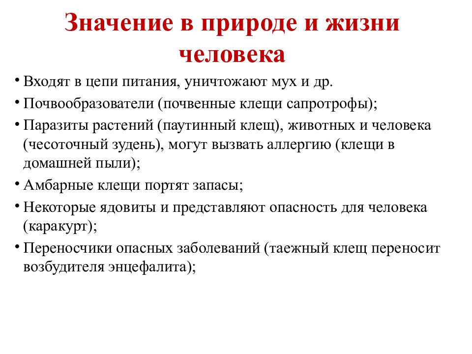 5 значений животных. Значение животных в природе и жизни человека. Значение саркодовых в природе и жизни человека. Значение царства животных в природе. Значение животных в жизни природы.