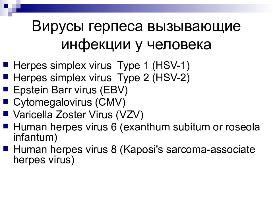 Herpes simplex 2 igg. Герпес симплекс вирус 1/2. Тропность вируса герпеса. Семейство герпесвирусов.