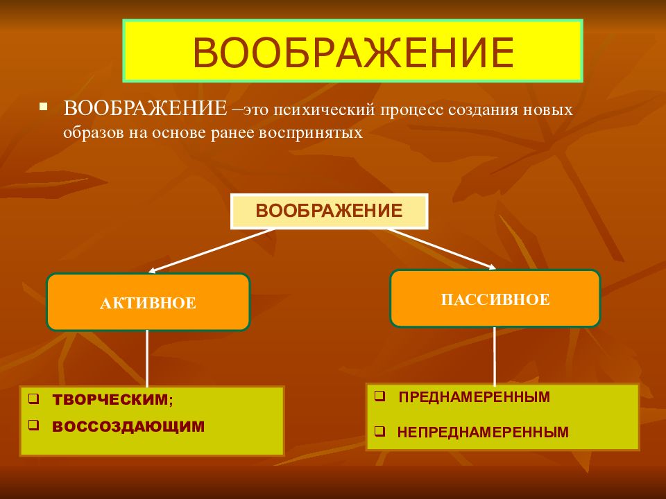 Воображение биология 8 класс презентация