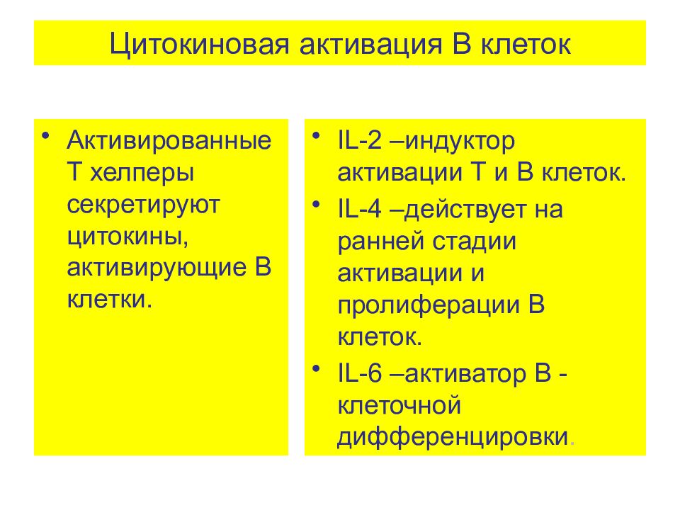 Активация т хелперов 1 типа. Активация т хелперов. Активация т хелперов дальше. Прогестерон активирует т хелпер, цитокины.