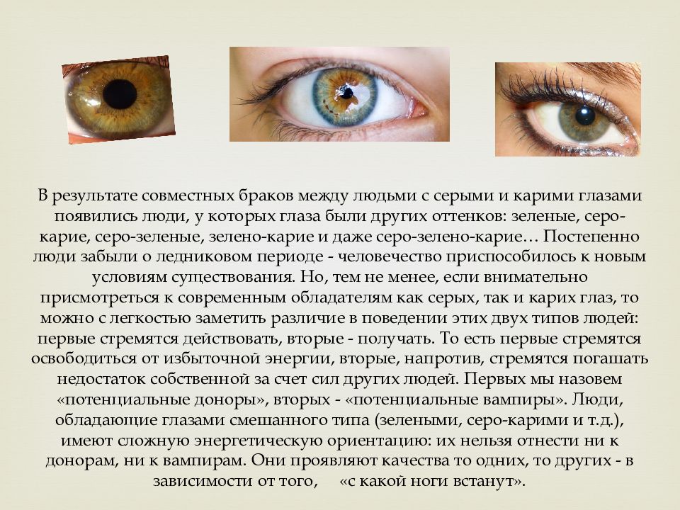 Что означает есть глазами. Серо карие глаза характер у женщин. Характер людей с зелеными глазами. Люди с карими глазами. Цвет глаз характеристика.