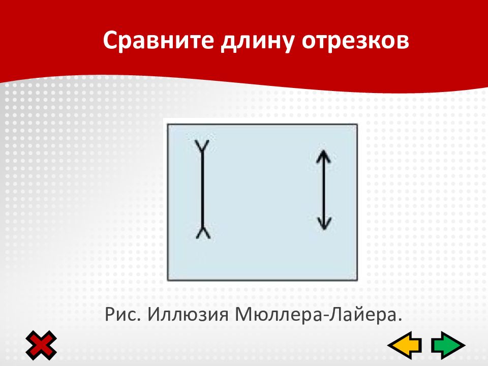 Сравнение длин. Мюллер-Лайер портрет. Мюллера-Лайера Википедия.