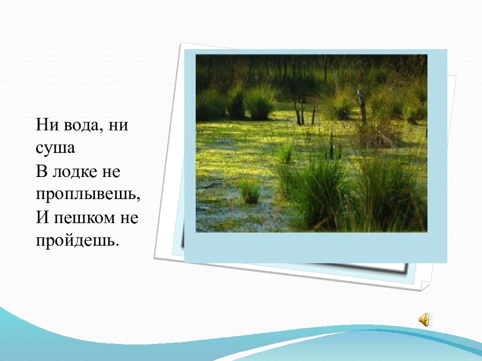 Интересные факты о водоемах Омской области. Ни вода ни суша. Загадки ни вода,ни суша,на лодке не проплывешь и ногами не пройдешь.