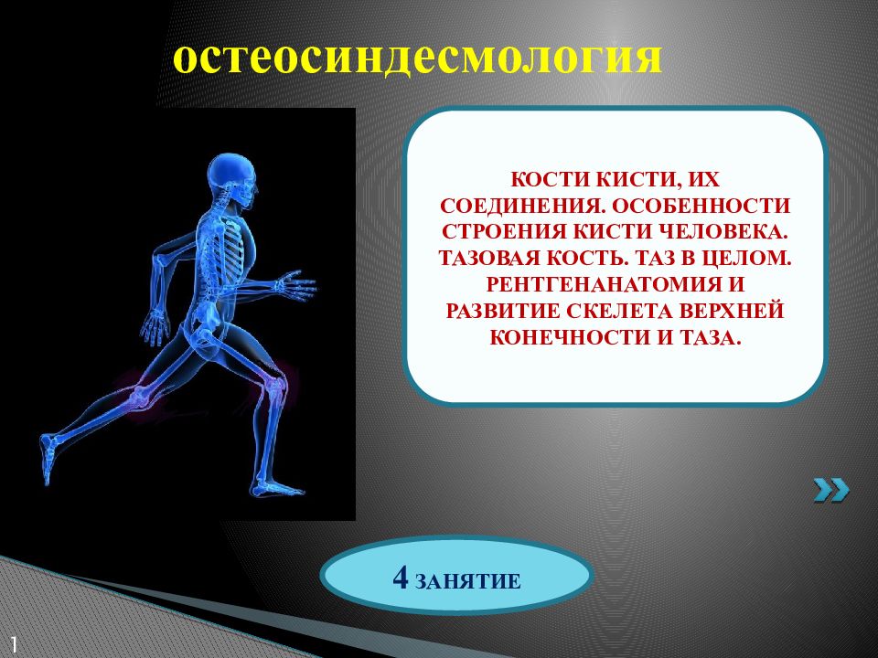 Эволюция скелета начиная с призыва богиней 10