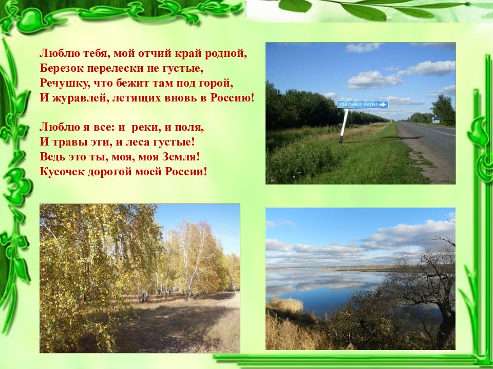 Отчий край ты нас вспоминай. Люблю тебя мой край родной. Родной край. Люблю тебя мой Отчий край родной березок перелески не густые.