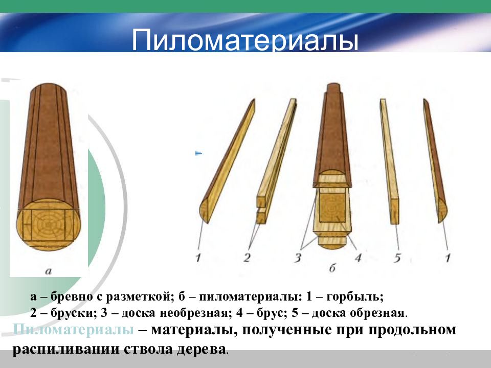 Конструкционные материалы 5 класс. Конструкционные материалы 5 класс технология. Конструкционные материалы презентация 5 класс. Разметка бревна. Конструкционные материалы 5 класс технология презентация.