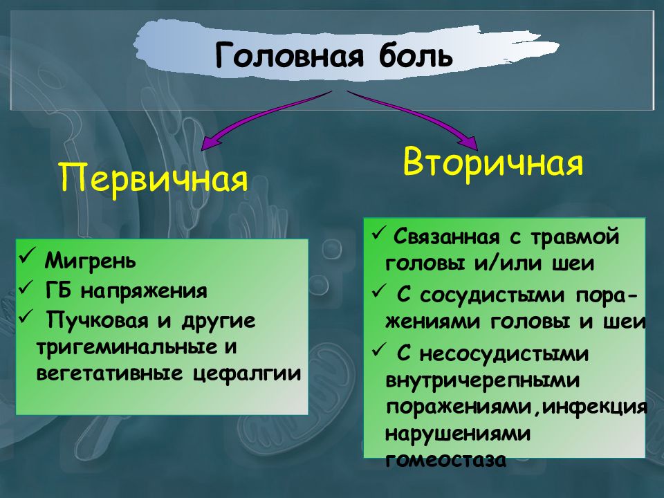 Первичная головная боль презентация