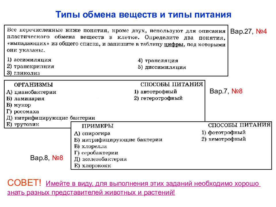 Типы метаболизма. Типы обмена веществ. Обмен веществ типы обмена веществ. Типы обменных процессов. Обмен веществ задания.